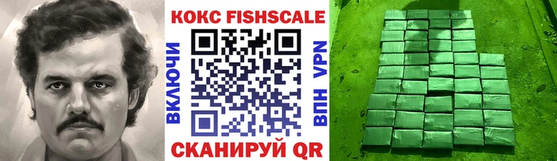 Кокаин Fish Scale  Сурск 