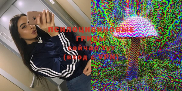 2c-b Медвежьегорск