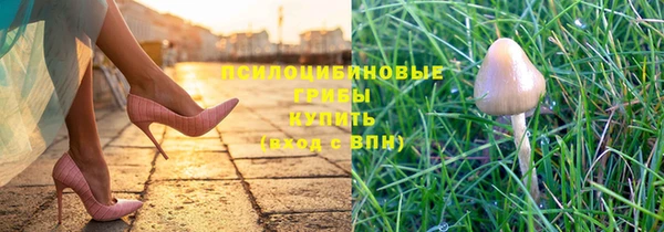 2c-b Медвежьегорск