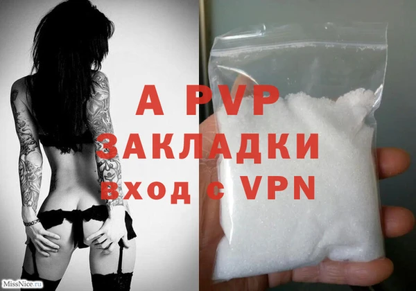 хмурый Аша