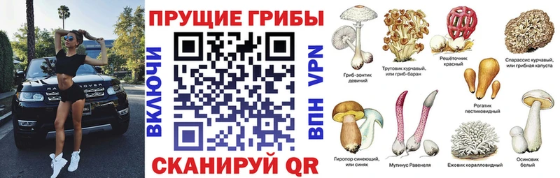 Галлюциногенные грибы ЛСД  Сурск 